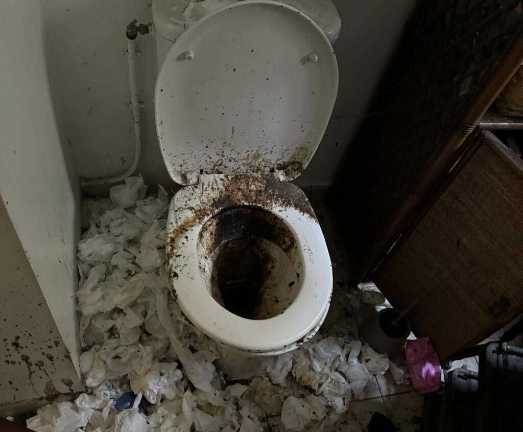 Diogène service Société de débarras et nettoyage